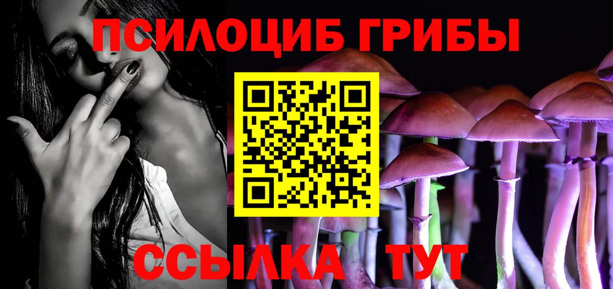 Ульяновск  Галлюциногенные грибы мицелий  хочу   Вход с VPN 